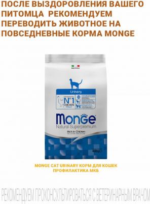Сухой корм для кошек VetSolution Urinary Struvite диета при МКБ, 1,5 кг – фото 3