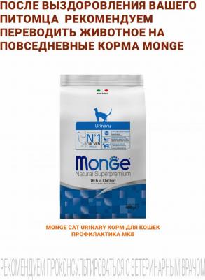 VetSolution Cat Renal корм сухой для кошек 1,5 кг – фото 7