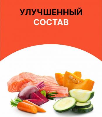 сухой корм для кошек и котят всех возрастов с лососем и овощами, All life Stages, Salmon, HEALTHY SKIN – фото 5