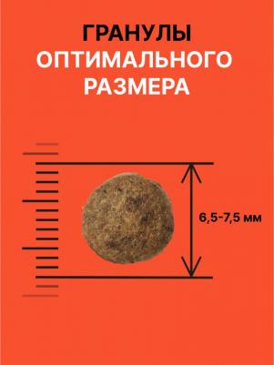 сухой корм для кошек и котят всех возрастов с лососем и овощами, All life Stages, Salmon, HEALTHY SKIN – фото 8