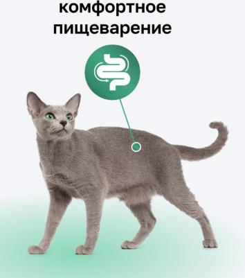 Корм для кошек с индейкой 100г – фото 4