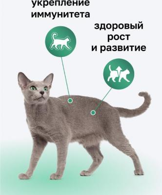 Мясное суфле для котят с говядиной 125 г – фото 6