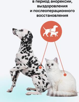 Preventive Line Recovery Консервы для кошек и собак в период анорексии, выздоровления и послеоперационного восстановления, 12x240 г Влажный – фото 2