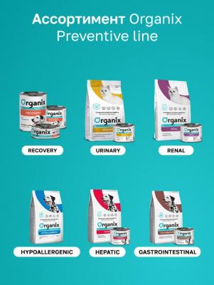 Preventive Line Recovery Консервы для кошек и собак в период анорексии, выздоровления и послеоперационного восстановления, 12x240 г Влажный – фото 3