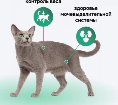 Сухой корм с кроликом для стерилизованных кошек 5 кг – фото 12