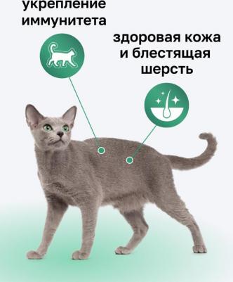 Сухой корм с курицей для кошек 5 кг – фото 9