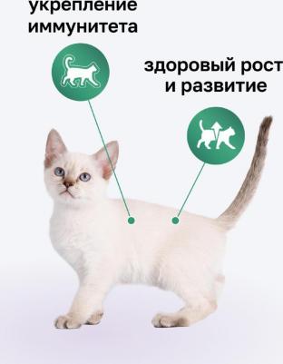 сухой корм сухой корм для котят с индейкой, фруктами и овощами, Kitten Turkey, 1,5кг – фото 4