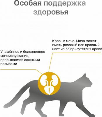 vet uRINARY Struvite сухой корм для взрослых кошек при мочекаменной болезни – фото 3