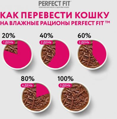 Корм для кошек Лосось в соусе 75г (упаковка 28 шт.) – фото 16