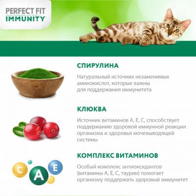 Корм сухой для иммунитета кошек Immunity индейка спирулина и клюква, 580 г – фото 4
