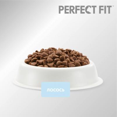 Сухой корм с лососем 650г – фото 6