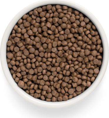 Cat Turkey Sterilised сухой корм для кошек с индейкой - 400 г – фото 3