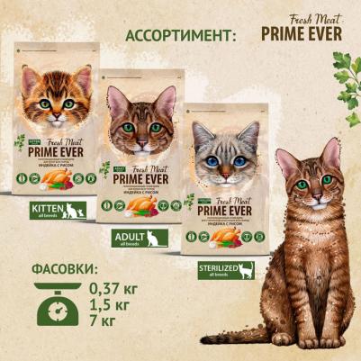Сухой корм для кошек Fresh Meat Adult Cat, индейка с рисом, 370 г – фото 2