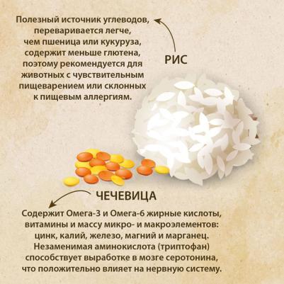 Сухой корм для котят Fresh Meat Kitten, индейка с рисом, 1.5 кг – фото 5