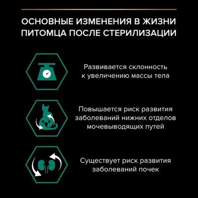 Сухой корм для кошек для стерилизованных, с кроликом, 600 г – фото 11