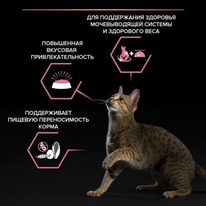 Сухой корм для кошек Sterilised для взрослых, курица, 1,9 кг – фото 6
