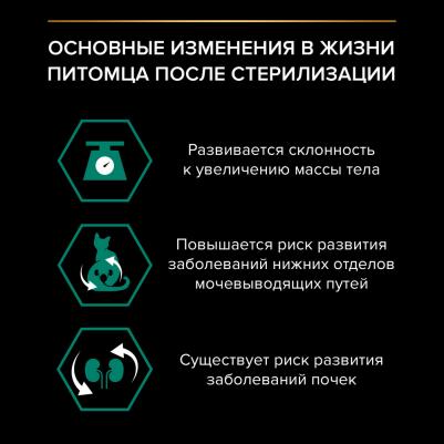Влажный корм для кошек для стерилизованных всех пород, говядина в желе, 26*85гр – фото 2
