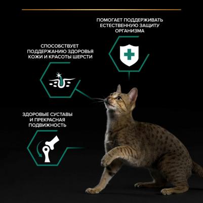 Влажный корм для кошек для всех пород, говядина в соусе, 26*85гр – фото 14