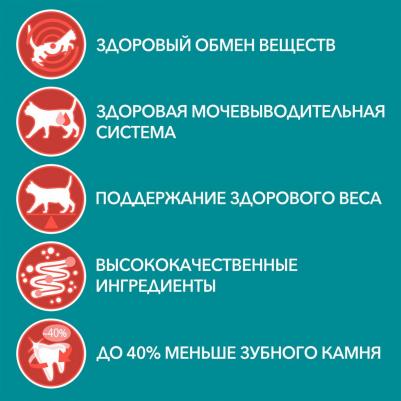 Корм для кошек для живущих в помещении, с курицей, с морковью 75 г – фото 18