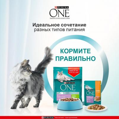 Влажный корм для кошек с чувствительным пищеварением, курица с морковью, 75гр – фото 14
