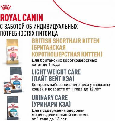 British Shorthair Adult полнорационный влажный корм для взрослых кошек породы британская короткошерстная, кусочки в соусе, в паучах - 85 г – фото 12