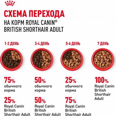 British Shorthair Adult полнорационный влажный корм для взрослых кошек породы британская короткошерстная, кусочки в соусе, в паучах - 85 г – фото 13