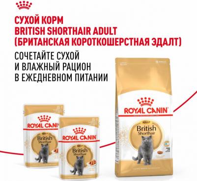 British Shorthair Adult полнорационный влажный корм для взрослых кошек породы британская короткошерстная, кусочки в соусе, в паучах - 85 г – фото 15