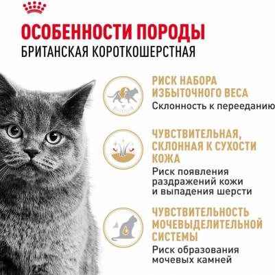 British Shorthair Adult полнорационный влажный корм для взрослых кошек породы британская короткошерстная, кусочки в соусе, в паучах - 85 г – фото 17
