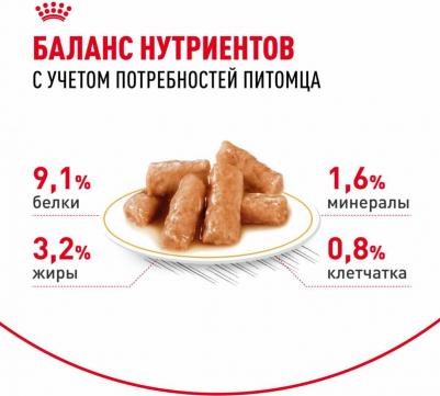 British Shorthair Adult полнорационный влажный корм для взрослых кошек породы британская короткошерстная, кусочки в соусе, в паучах - 85 г – фото 18