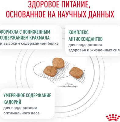 Diabetic Сухой диетический корм для регулирования уровня глюкозы в крови при сахарном диабете у кошек, 350 гр – фото 10