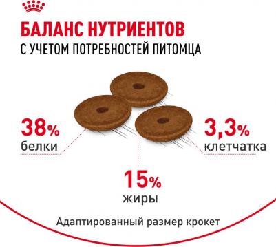 Digestive Care для кошек с расстройствами пищеварительной системы 4607134961106 – фото 4