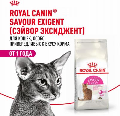 Exigent 35/30 Savour Sensation сухой корм для кошек, привередливых к вкусу продукта, 0,2 кг – фото 13