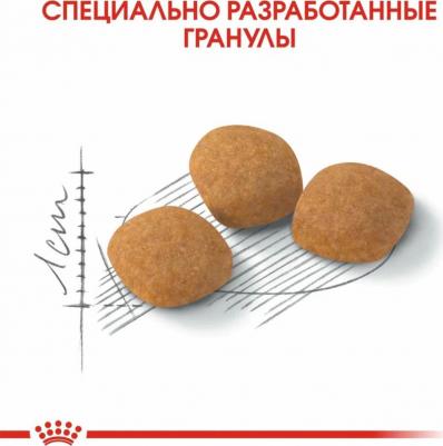 Exigent Протеин сухой корм для кошек привередливых к составу продукта – фото 19