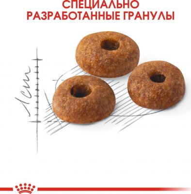Fit 32, 2 кг – фото 11