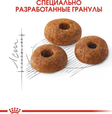 Fit 32 корм для бывающих на улице кошек в возрасте от 1 до 7 лет, 0,2 кг – фото 5