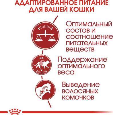 Fit для кошек бывающих на улице (Курица, 4 кг.) – фото 2