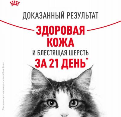 Hair&Skin влажный корм для кошек, идеальная кожа и шерсть, в желе 85 гр – фото 13