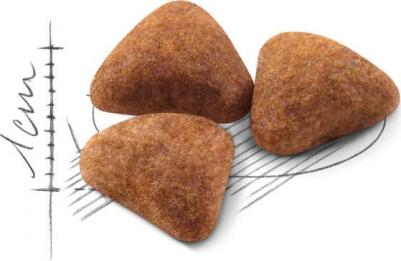 Indoor, 4 кг – фото 2