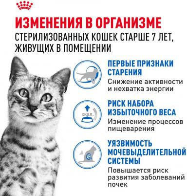 Indoor 7+ для пожилых стерилизованных кошек старше 7 лет соус, в паучах - 85 г супер премиум для взрослых паучи Россия 1 уп. х 28 шт. х 2.38 кг – фото 8