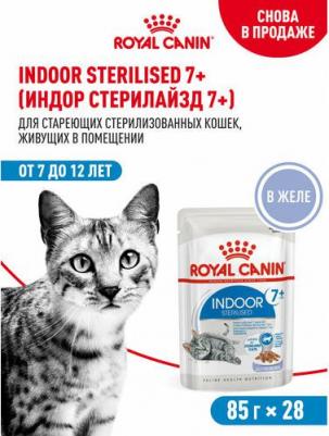 Indoor 7+ для пожилых стерилизованных кошек старше 7 лет, желе, в паучах - 85 г супер премиум для взрослых паучи Россия 1 уп. х 28 шт. х 2.38 кг