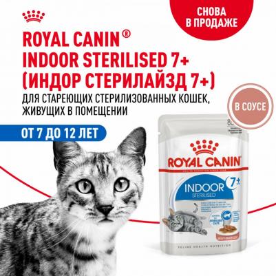 Indoor +7 пауч для домашних кошек старше 7 лет