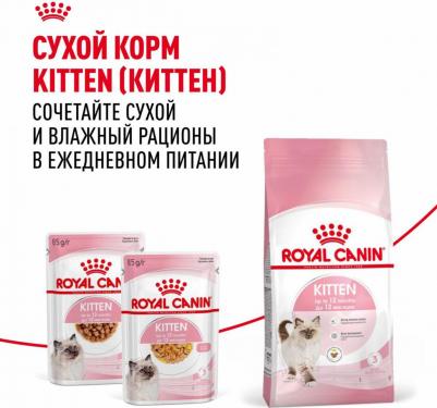 Kitten Jelly полнорационный влажный корм для котят в период второй фазы роста до 12 месяцев, кусочки в желе, в паучах - 85 г – фото 1
