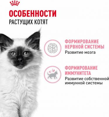 Kitten Jelly полнорационный влажный корм для котят в период второй фазы роста до 12 месяцев, кусочки в желе, в паучах - 85 г – фото 2