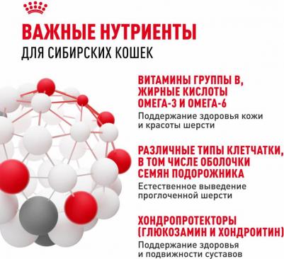 Корм для кошек для сибирской породы сух. 2кг – фото 1