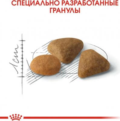 Корм для кошек Exigent 35/30 Savoir Sensation для привередливых к вкусу сух. 400г – фото 13