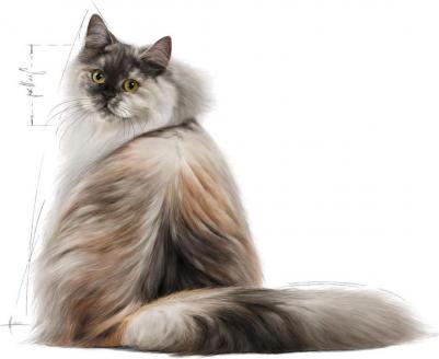 Корм для кошек Hair & Skin 33 для чувствительной кожи и для улучшения шерсти сух. 2кг – фото 7