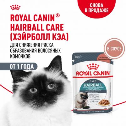 Корм для кошек Hairball Care для профил.образования волосяных комочков, соус пауч 85г