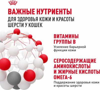 Корм для кошек Intense Beauty для поддержания красоты шерсти, в желе конс. 85г – фото 10