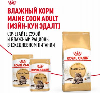 Корм для кошек Maine Coon 31 для породы Мэйн Кун, старше 15 месяцев сух. 400г – фото 14
