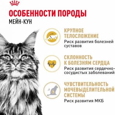 Корм для кошек Maine Coon 31 для породы Мэйн Кун, старше 15 месяцев сух. 400г – фото 16
